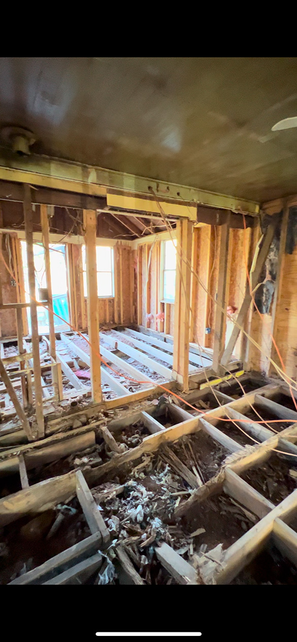 Renovation Project