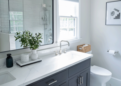 Bathroom Remodel Challenge